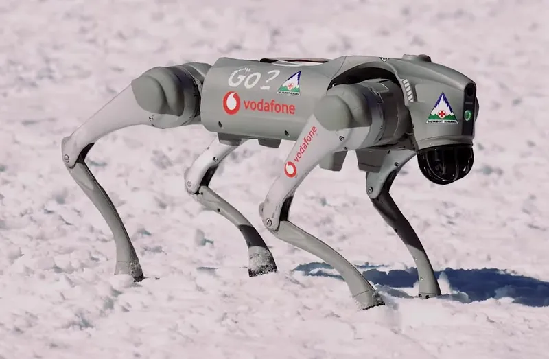 Unitree Go2 robot